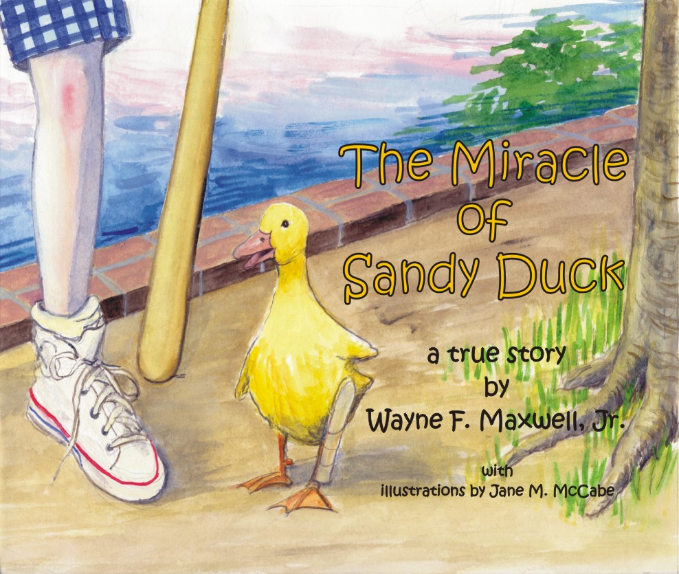 sandyduck.jpg