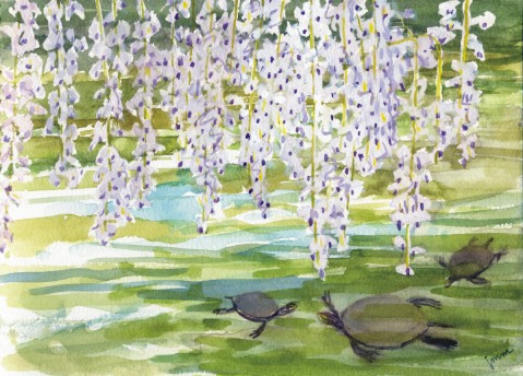 wisteriaandturtles.jpg